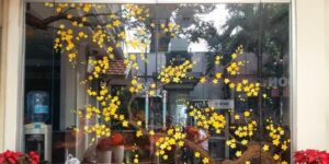 Mẫu hoa văn decal sang trọng và tươi tắn với nhành mai vàng